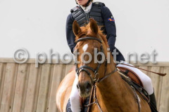 50201216