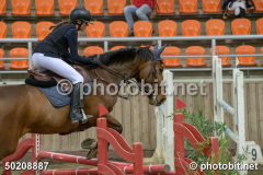 50208887