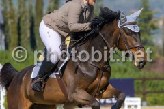 50307728
