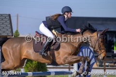 50308411