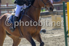 50322600