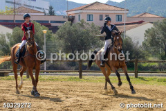 50329272