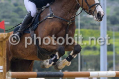 50329660