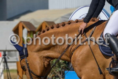 50330422
