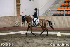 50405544