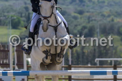50411477