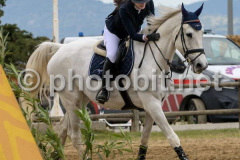 50412859