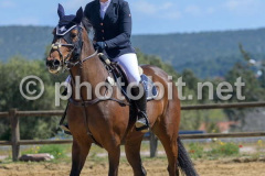50413431