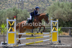 50426748