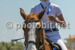 50426778