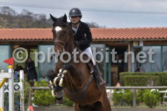 50427530