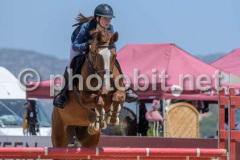 50508563