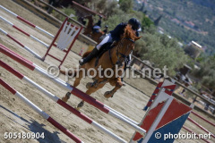 505180904