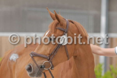 505210283