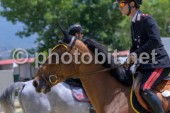 505220563
