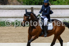 506290875