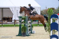 509260118
