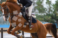 509261597