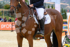 509270678