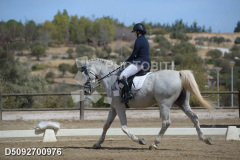 D5092700976