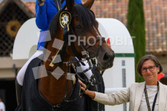 509280455