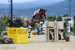 510020436