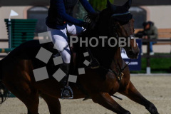510031040