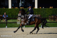 510050224