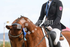 511080320
