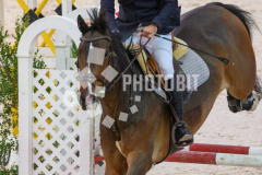 511290441