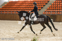 601310288