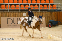 603280087