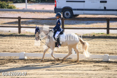 604260047