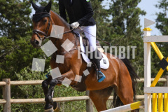 605090296