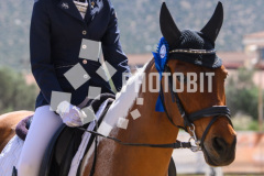 605160241