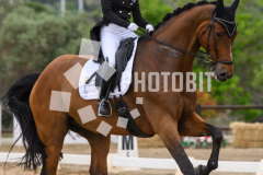 605160496