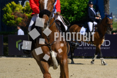 605302217
