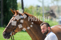 606030369
