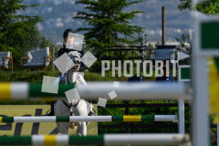 606050033