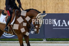 606050577