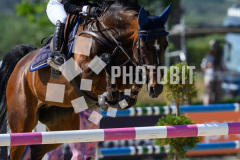 606070461